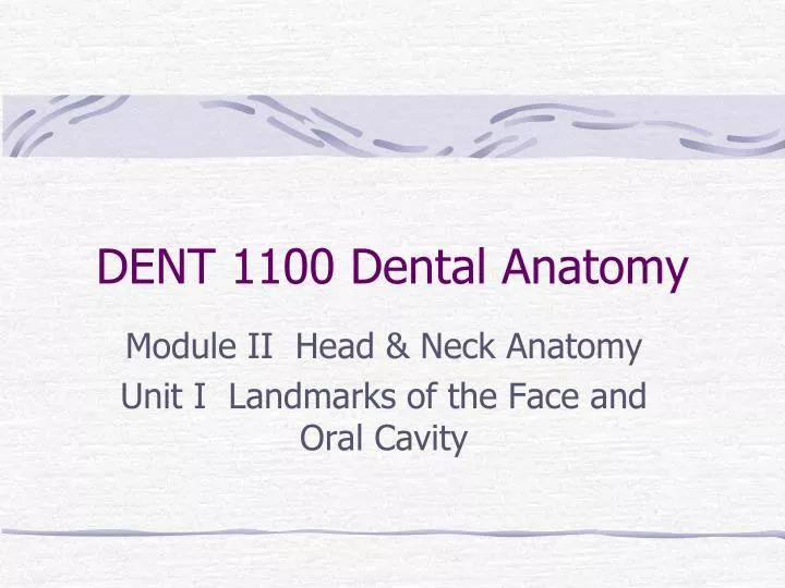 dent 1100 dental anatomy
