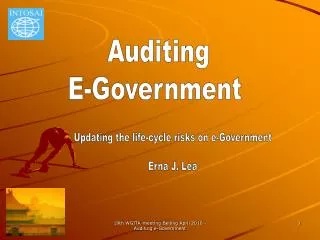 Auditing E-Government