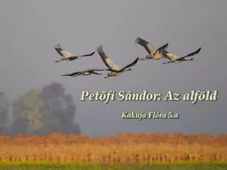 Petőfi Sándor: Az alföld Kakuja Flóra 5.a