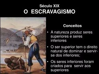 s culo xix o escravagismo