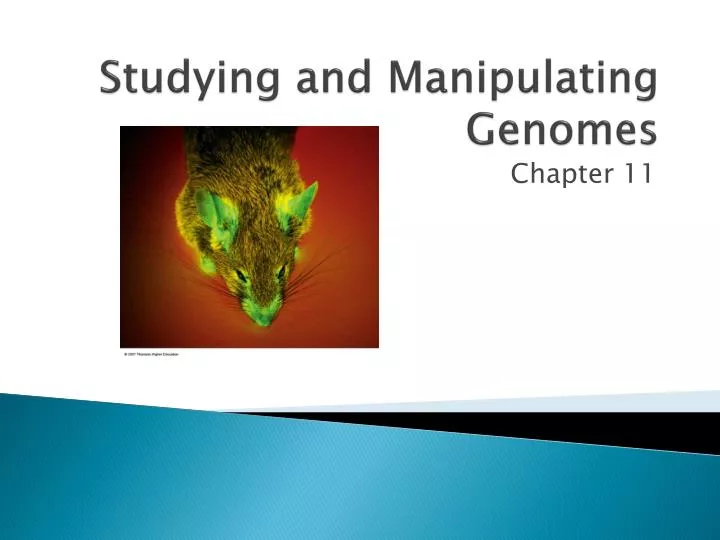 studying and manipulating genomes
