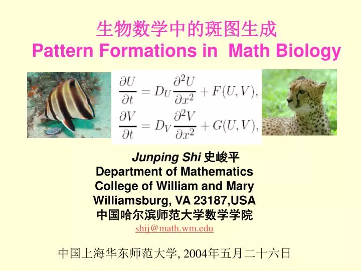 pattern formations in math biology