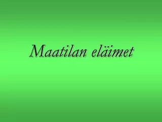 maatilan el imet