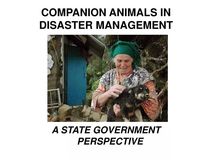 companion animals in disaster management