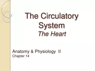 The Circulatory System The Heart