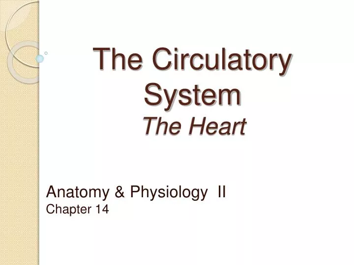 the circulatory system the heart