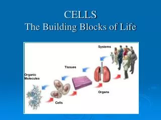 CELLS The Building Blocks of Life