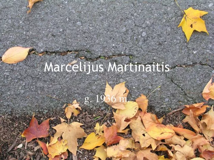 marcelijus martinaitis