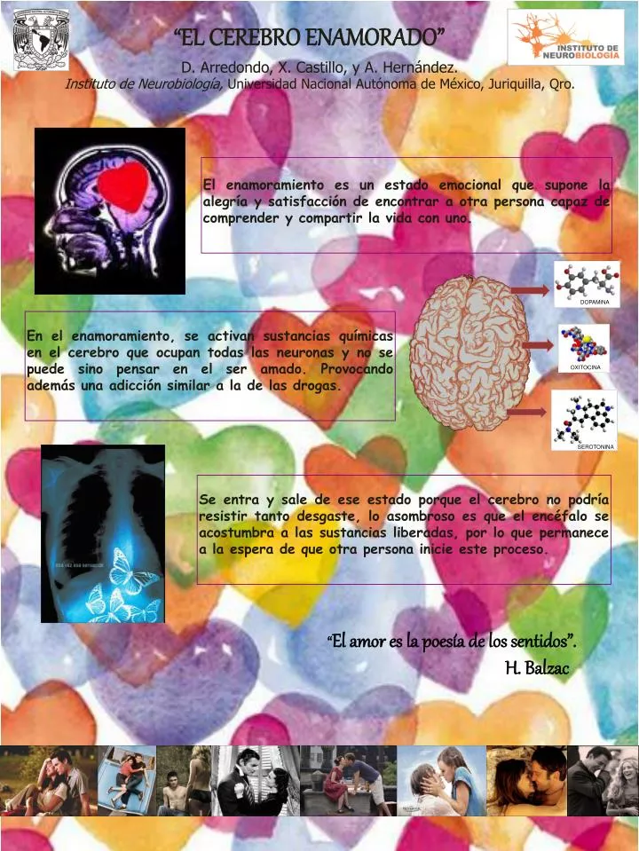 el cerebro enamorado