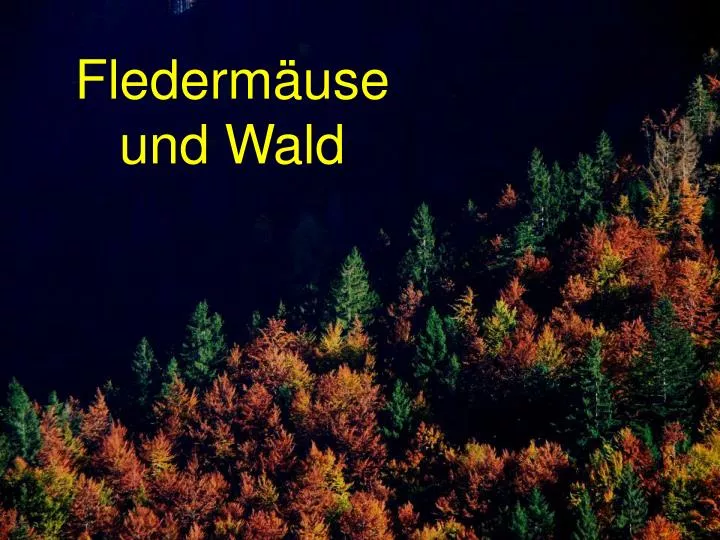 flederm use und wald