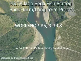 M&amp;T/Llano Seco Fish Screen Short-term/Long-term Project