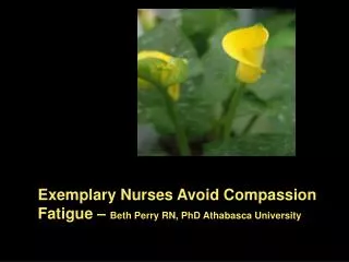 Exemplary Nurses Avoid Compassion Fatigue – Beth Perry RN, PhD Athabasca University