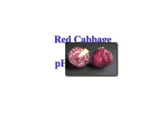 Red Cabbage as a pH Indicator