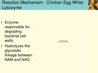 Reaction Mechanism: Chicken Egg White Lysozyme