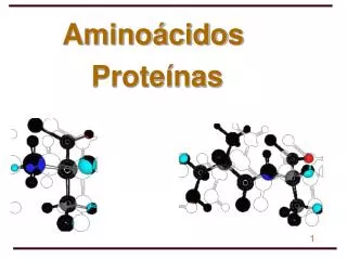 Aminoácidos Proteínas