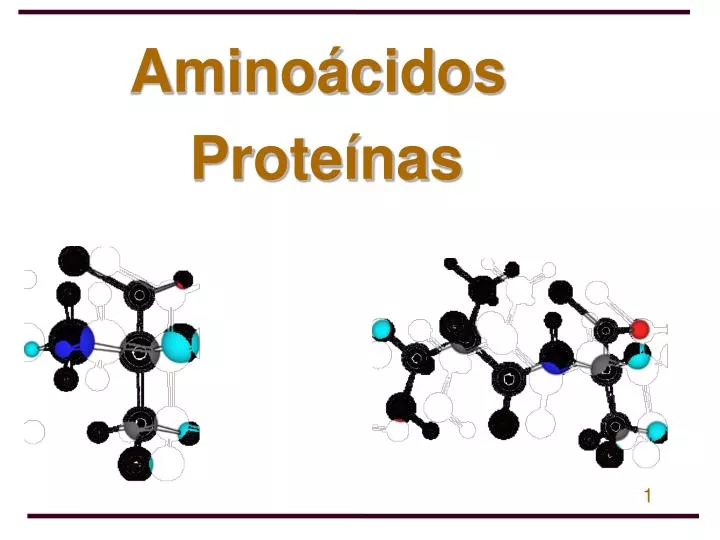 amino cidos prote nas