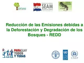 Reducción de las Emisiones debidas a la Deforestación y Degradación de los Bosques - REDD