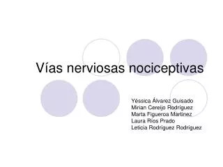 v as nerviosas nociceptivas