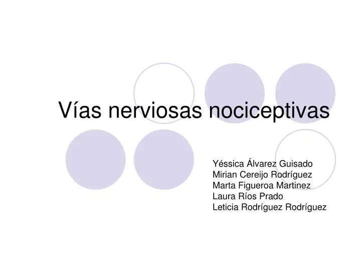 v as nerviosas nociceptivas