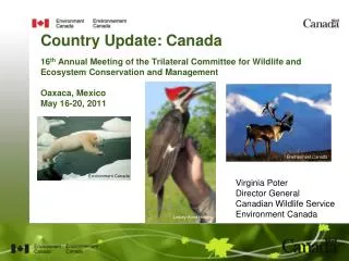 Virginia Poter Director General Canadian Wildlife Service Environment Canada