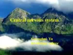 Central nervous system - slide 1