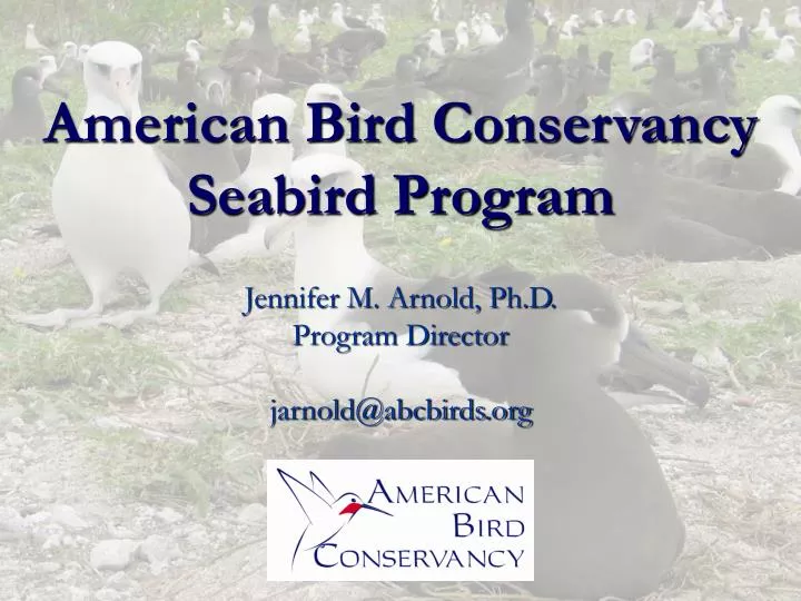 american bird conservancy seabird program