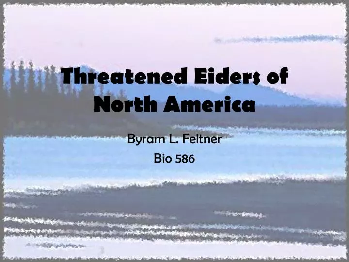 threatened eiders of north america