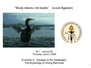 Bi 1 Lecture 29 Thursday, June 2, 2005 Evolution 3. Voyages to the Galapagos; The physiology of Diving Mammals