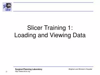 Slicer Training 1: Loading and Viewing Data