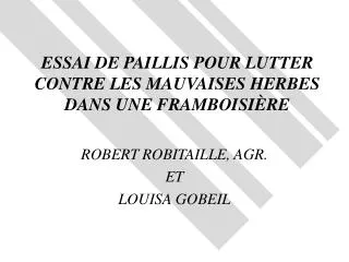 ESSAI DE PAILLIS POUR LUTTER CONTRE LES MAUVAISES HERBES DANS UNE FRAMBOISIÈRE