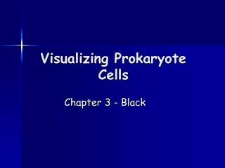 Visualizing Prokaryote Cells
