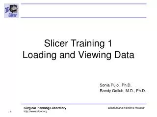 Slicer Training 1 Loading and Viewing Data