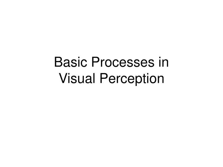 basic processes in visual perception