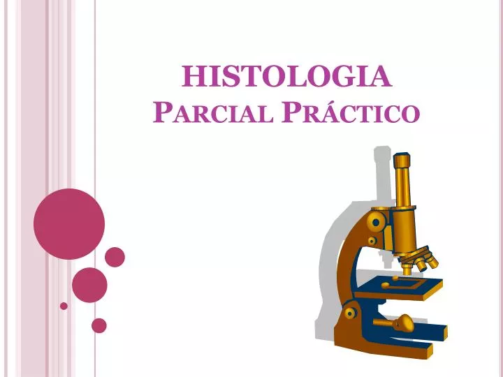 histologia parcial pr ctico