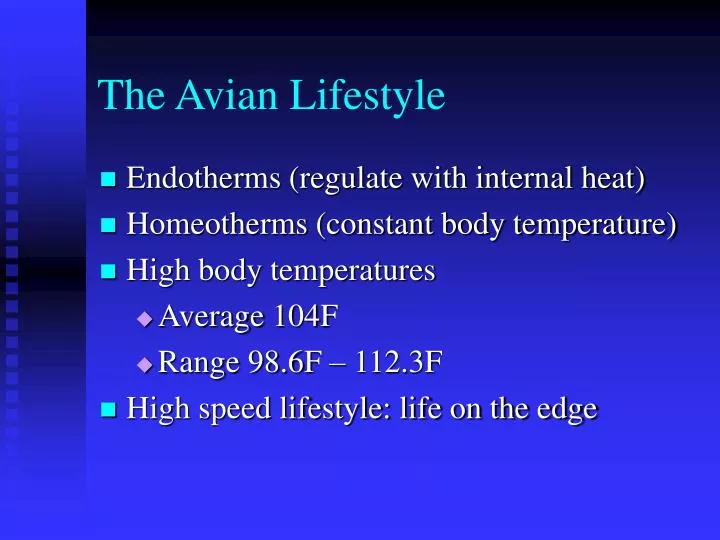the avian lifestyle