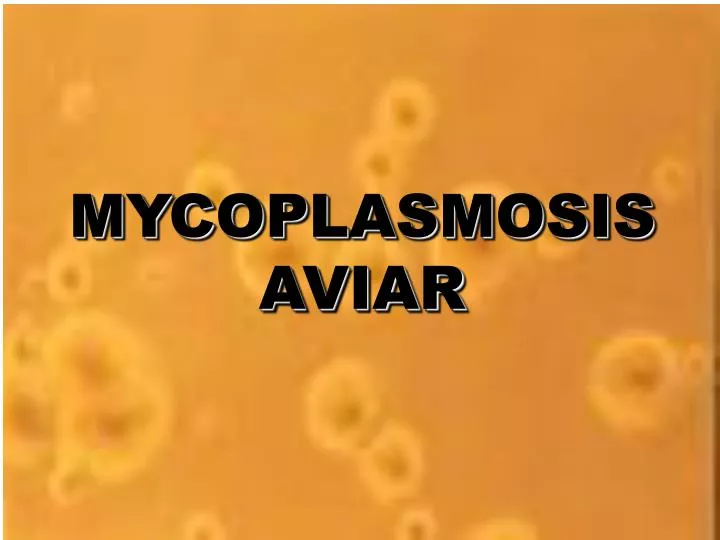 mycoplasmosis aviar