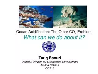 Ocean Acidification: The Other CO 2 Problem What can we do about it?