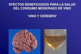 EFECTOS BENEFICIOSOS PARA LA SALUD DEL CONSUMO MODERADO DE VINO ‘VINO Y CEREBRO’