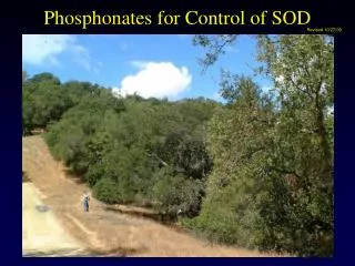 Phosphonates for Control of SOD
