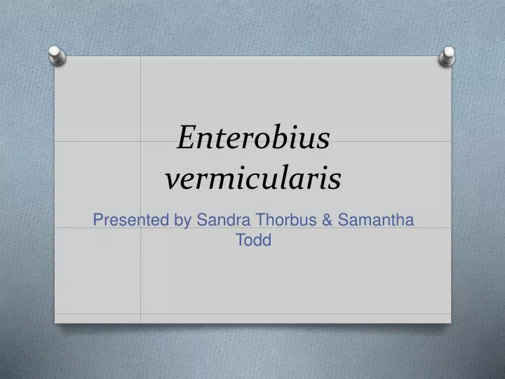enterobius vermicularis