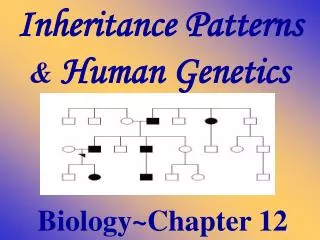 Biology~Chapter 12