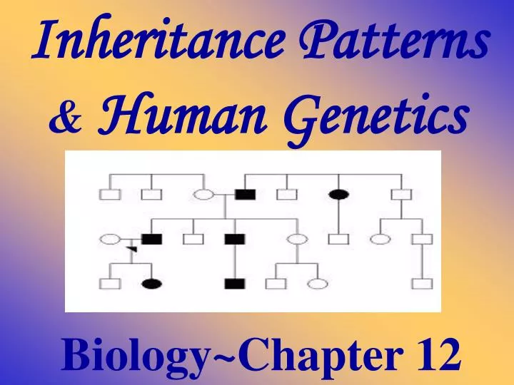biology chapter 12