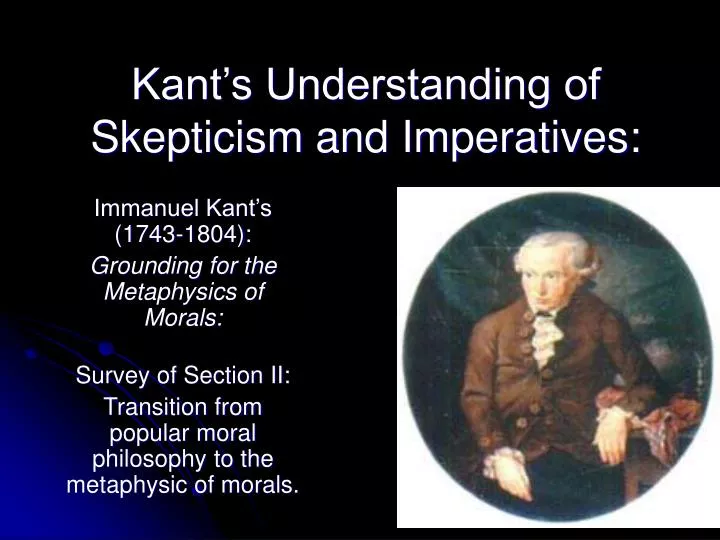 kant s understanding of skepticism and imperatives