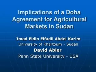 Implications of a Doha Agreement for Agricultural Markets in Sudan