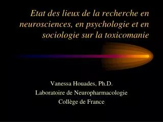 Etat des lieux de la recherche en neurosciences, en psychologie et en sociologie sur la toxicomanie