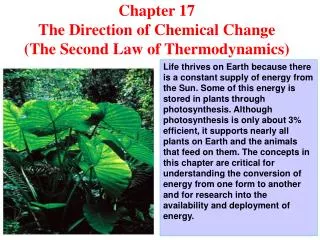 Chapter 17 The Direction of Chemical Change (The Second Law of Thermodynamics)