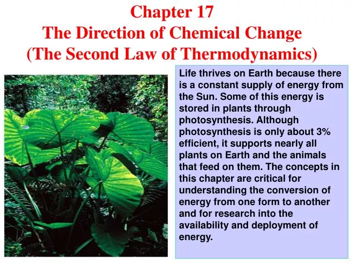 chapter 17 the direction of chemical change the second law of thermodynamics