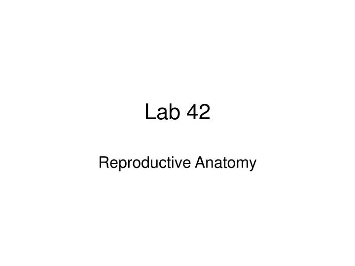 lab 42