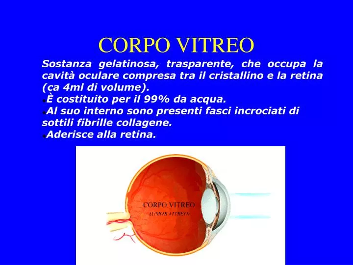 corpo vitreo