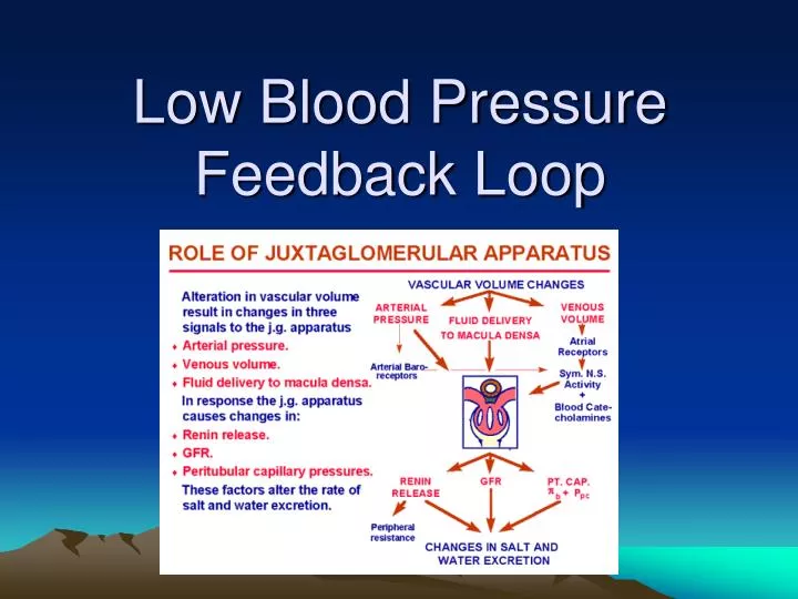 low blood pressure feedback loop